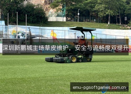 深圳新鹏城主场草皮维护，安全与流畅度双提升